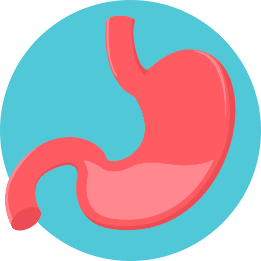 Icon of a stomach