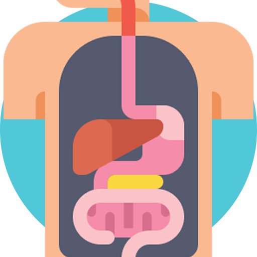 Icon of a person showing internal organs